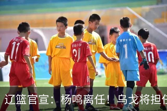辽篮官宣：杨鸣离任！乌戈将担任辽宁男篮主帅